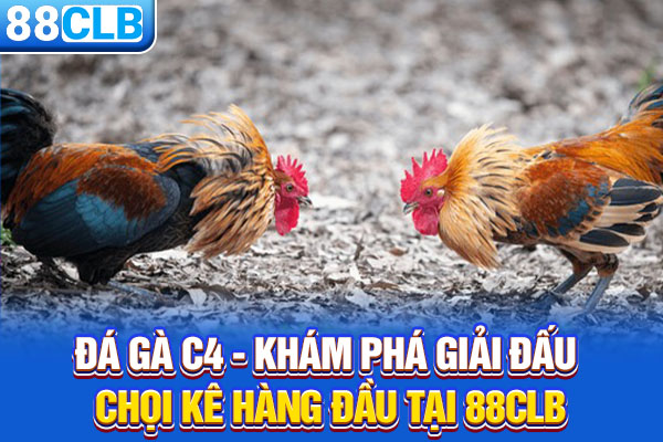 Đá Gà C4 - Khám Phá Giải Đấu Chọi Kê Hàng Đầu Tại 88CLB