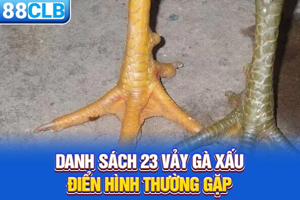 Danh sách 23 vảy gà xấu điển hình thường gặp