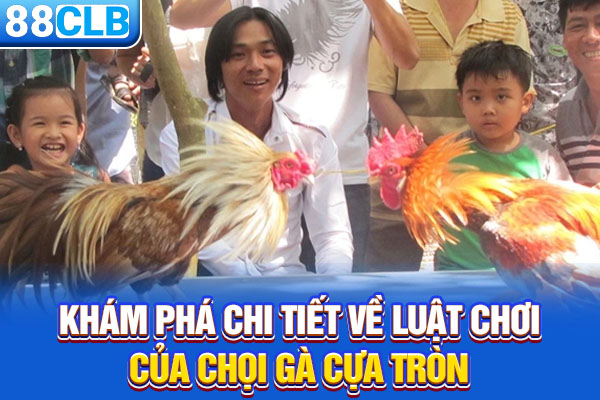 Khám phá chi tiết về luật chơi của chọi gà cựa tròn